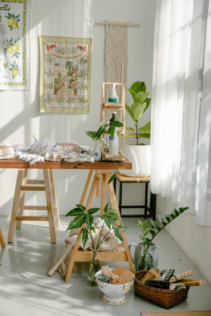 Houseplants In You Home - All You Need to Know