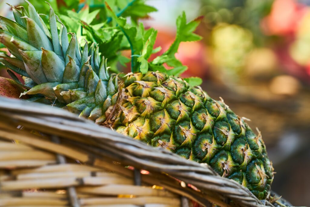 How to Grow Pineapple: The Easiest, Quickest Way To Grow Your Own Pineapple